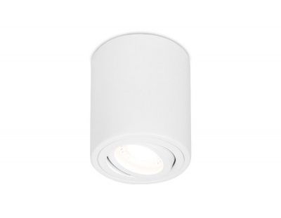 Ambrella  TN225 WH белый GU5.3 D80*100 накладной поворотный точечный светильник