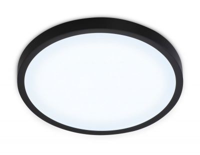 Ambrella FZ1953 BK Свет-ник светод-ный ультратонкий черный IP54 20W D270*15 (Без ПДУ) 5000K - хол. дневн. свет