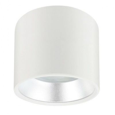 ЭРА OL8 GX53 WH/SL  алюминий, цвет белый+серебро св-к настенно-потолочный спот