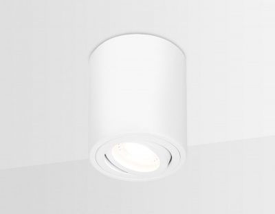Ambrella  TN225 WH белый GU5.3 D80*100 накладной поворотный точечный светильник