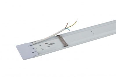 ЭРА SPO-5-40-6K-P Свет-ник светод-ный (F) 1200mm 40W полуматовый IP20 6500K - хол. дневн. свет (1 / 1 / 20)