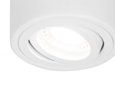 Ambrella  TN225 WH белый GU5.3 D80*100 накладной поворотный точечный светильник